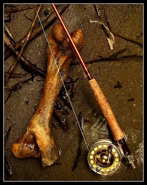 User submitted picture: bones!