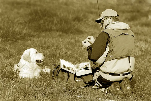 User submitted picture: Looking for the good fly 