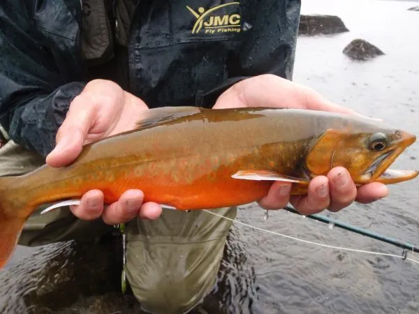 User submitted picture: Sweden 2010 by www.guidep...