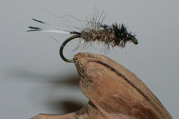 User submitted picture: Wild Trout Food          ...