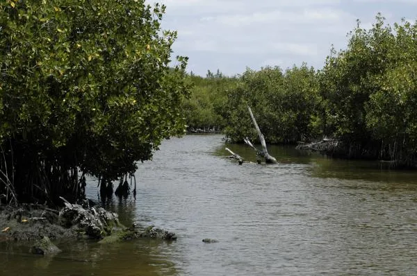 User submitted picture: Gopher Creek!