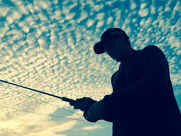 User submitted picture: On the Fly