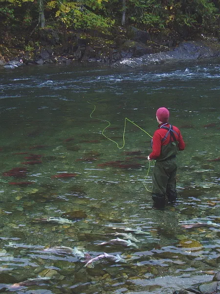 User submitted picture: fishing for rainbow trout...
