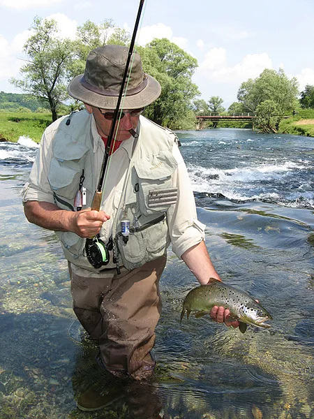 User submitted picture: Look & release