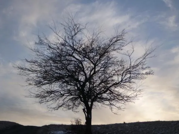 User submitted picture: In the Sunset