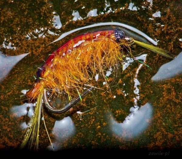 User submitted picture: Scud